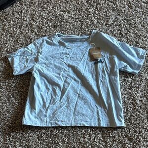 Patagonia Light Blue Graphic Tee
